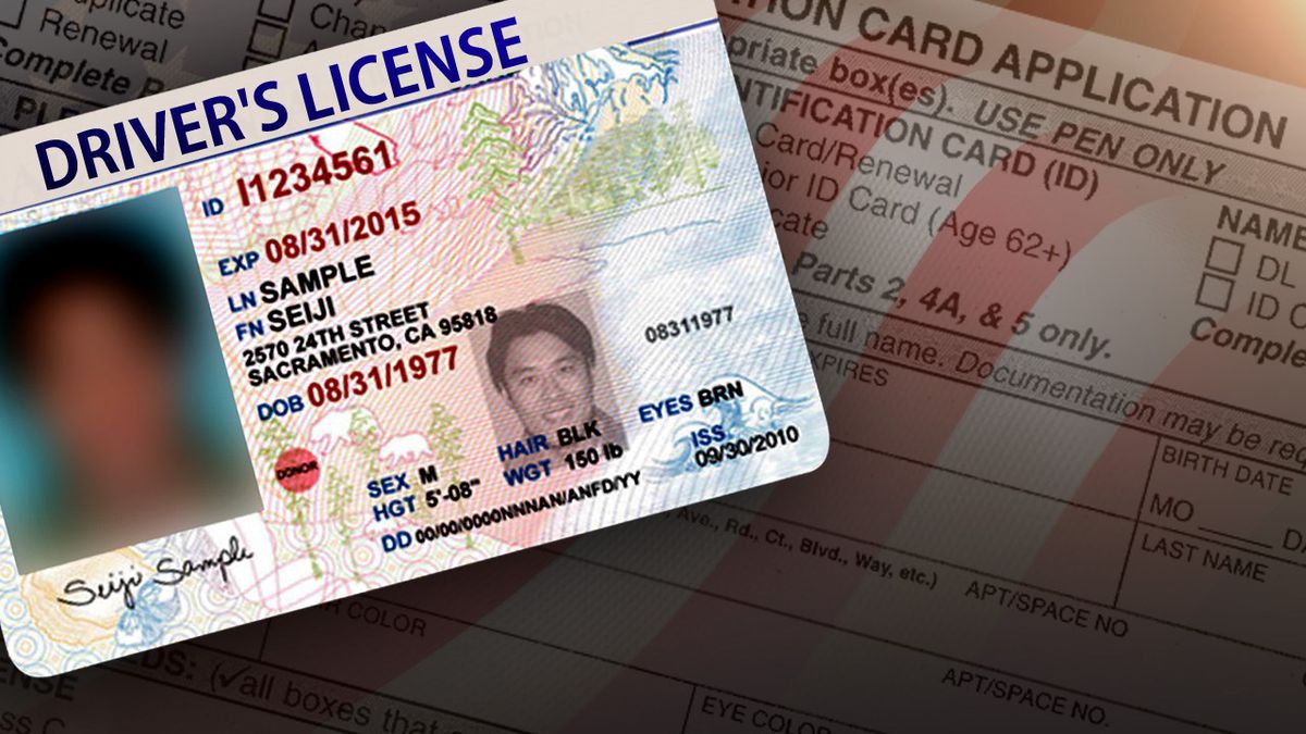 В этих штатах дают водительские права иммигрантам без документов
